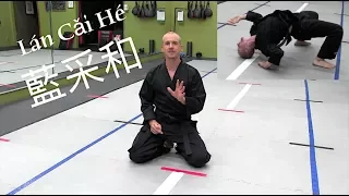 DRUNKEN STYLE KUNG FU - Lesson 10