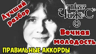 ВСЕ ФИШКИ ЧИЖА! - ЧИЖ и КО ВЕЧНАЯ МОЛОДОСТЬ ТАБЫ В ОПИСАНИИ