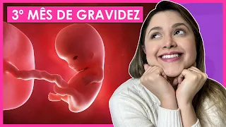 3 MESES DE GRAVIDEZ | SEMANAS 10, 11, 12 E 13