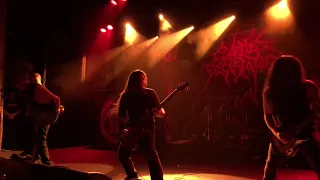 Cattle Decapitation - The Geocide (Live in Brisbane 2020)