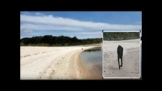 A tourist sailed past an uninhabited island when something unbelievable happened to him!