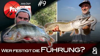 Fischen um die Führung! Profi-Liga S6F9