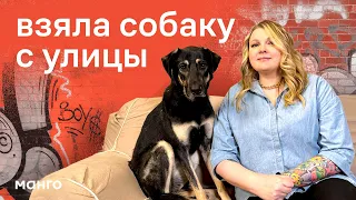 Взяла собаку с улицы, что делать, как воспитывать