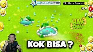 Cara menangkap Katak | HAYDAY INDONESIA