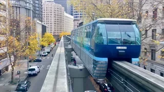 Seattle Monorail Beautiful Fall Colors!