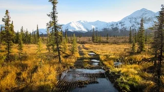 My Bicycling Adventure on Alaska's Denali Highway - EP. #151