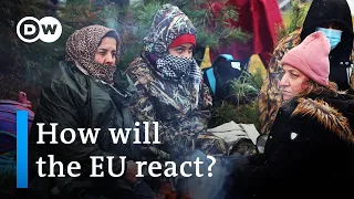 Will Poland use force to stop migrants from entering the country? | DW News