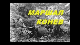 Маршал Советского Союза Конев - биография .