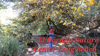 Part1 Walking around El Dorado Nature Center Long Beach.  Dạo bộ khu bảo tồn thiên nhiên Long Beach.