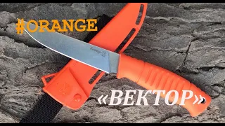 Нож "Вектор" от Кизляр - оранжевый (orangе)