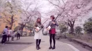 Shamisen Under The Cherry Blossoms - Ki&Ki 輝&輝 津軽三味線