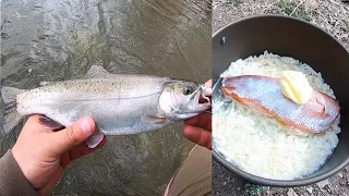 Rainbow Trout Fly Fishing Catch & Cook!