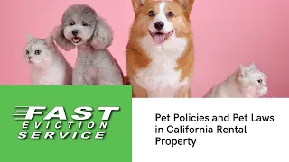 Pet Policies and Pet Laws in California Rental Property