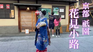 京都祇園 舞妓さんの姿に感動する外国人観光客 Maiko in Gion,Kyoto 【4K】2023年6月27日