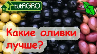 НАТУРАЛЬНЫЕ или КРАШЕНЫЕ? Выбираем оливки и маслины по вкусу, цвету и пользе.