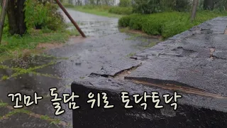 [8시간] 꼬마 돌담 위로 토닥토닥 내리는 비 | 빗소리 | Sound of rain | ASMR