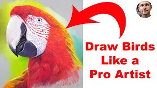 Drawing Techniques that REALLY work! - Stunning Parrot Drawing - Learn from Pro Artist Jason Morgan