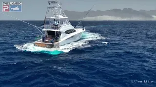 wide long drone cape V Pelagic