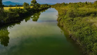 Pêche rapide sur un contre canal du Rhône ~ Pêche de la carpe