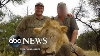 Minnesota Dentist Acknowledges Killing Beloved Lion Cecil