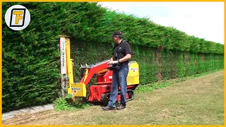 ⚡ Satisfying Incredible Hedge Trimming & Grass Cutting Machines ▶ 6  [with TechFind Commentary]