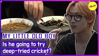 [MY LITTLE OLD BOY] Is he going to try deep-fried cricket? (ENGSUB)