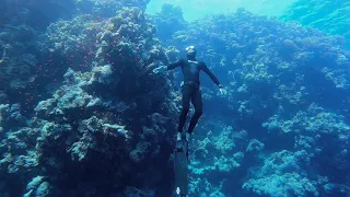 Freedive Dahab | Egypt | 2022