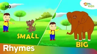 Opposite Song for Kids | Learn Opposite Words | Shemaroo Kids Junior