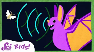 How Do Bats See with Sound? | Echolocation | Amazing Animal Senses | SciShow Kids