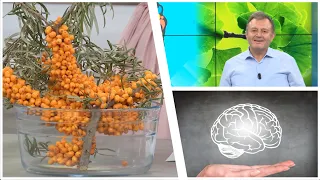 E rrallë |Ylli Merja zbulon bimën çudibërëse që ushqen trurin, rritet në Has/ aleate shëndeti mendor
