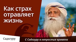 Как страх отравляет жизнь