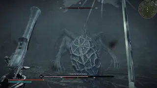 Bloodborne mfs playing skyrim be like [500+Mods]