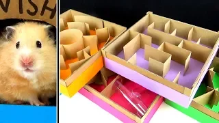 5-level Maze for Hamsters. Who is the BEST?