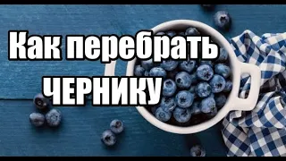 Как Перебрать Чернику Быстро от листьев и мусора. Лайфхак.