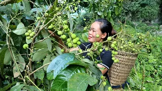 Harvest Fruits Goes to the market to sell - Cook nutritious meals at the farm | Trieu Mai Huong