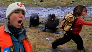 My Child Became Best Friends with a Penguin! Part 2 of 3 Kids Home School Lessons in Antarctica
