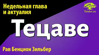 Недельная глава Тецаве. Рав Бенцион Зильбер