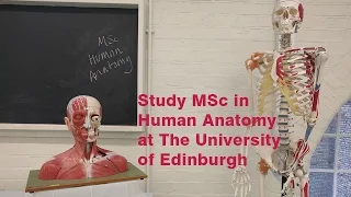 Study MSc Human Anatomy | Edinburgh Medical School | The University of Edinburgh