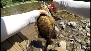 Fishing For Mean River Smallmouth Bass