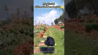 Astaghfirullah ukhti bercadar terjatuh, semoga baik baik saja,saking semangatnya