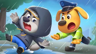 ☔️🌈 Giữ an toàn khi trời đổ mưa 🚨👮 Cảnh sát trưởng Labrador Vietnam🚔