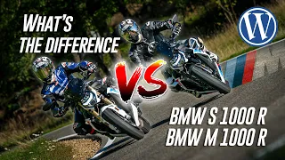 BMW Power Naked Bikes in comparison: S 1000 R vs. M 1000 R