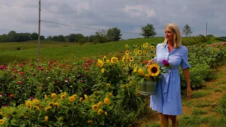 Featured Business: Hummingbird Hill Flower Farm