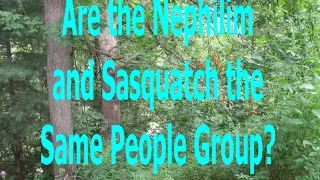 Are the Nephilim & Sasquatch (Bigfoot) the Same People Group?