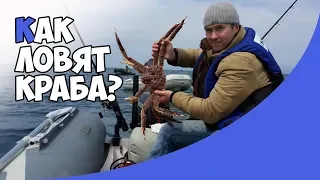 🦀Как ловят краба? | Репортаж из Владивостока