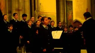 PCSM (Petits Chanteurs de Saint Marc)- I'm dreaming of home