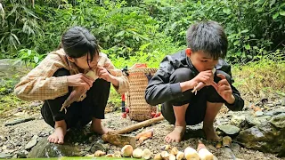 Going to the forest to dig bamboo shoots - Cooking - The homeless life of two children