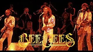 BEE GEES: NIGHT FEVER  (LIVE SPIRITS TOUR ´79)
