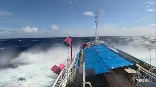 遠洋カツオ一本釣り シケ 操業