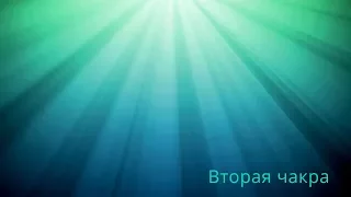 Вторая Чакра -  Николай Пейчев